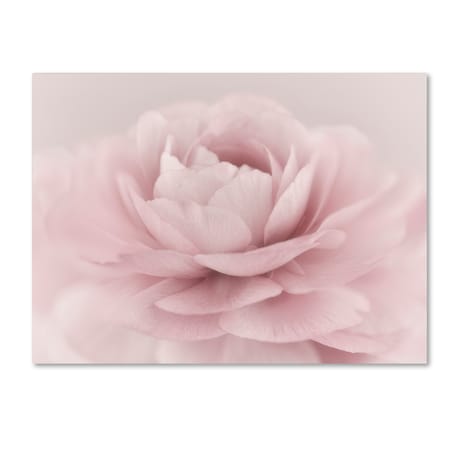 Trademark Fine Art Cora Niele 'Stylisch Rose Pink' Canvas Art, 18x24 ALI1786-C1824GG